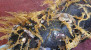 പസഫിക് സമുദ്രത്തിലെ പ്ലാസ്റ്റിക്ക് മാലിന്യങ്ങള്‍ ആവാസവ്യവസ്ഥയാക്കി മാറ്റി കടല്‍ജീവികള്‍